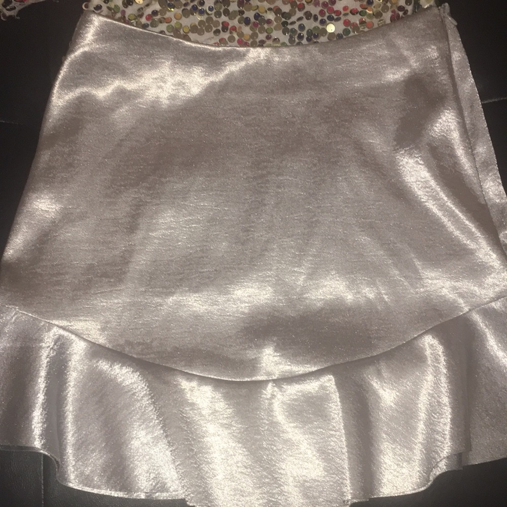 NWT Silver flare skirt